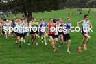 Mens Under-17s relay, 2025 Northern Cross Country Relays, Graves Park, Sheffield. Photo: David T. Hewitson/Sports for All Pics